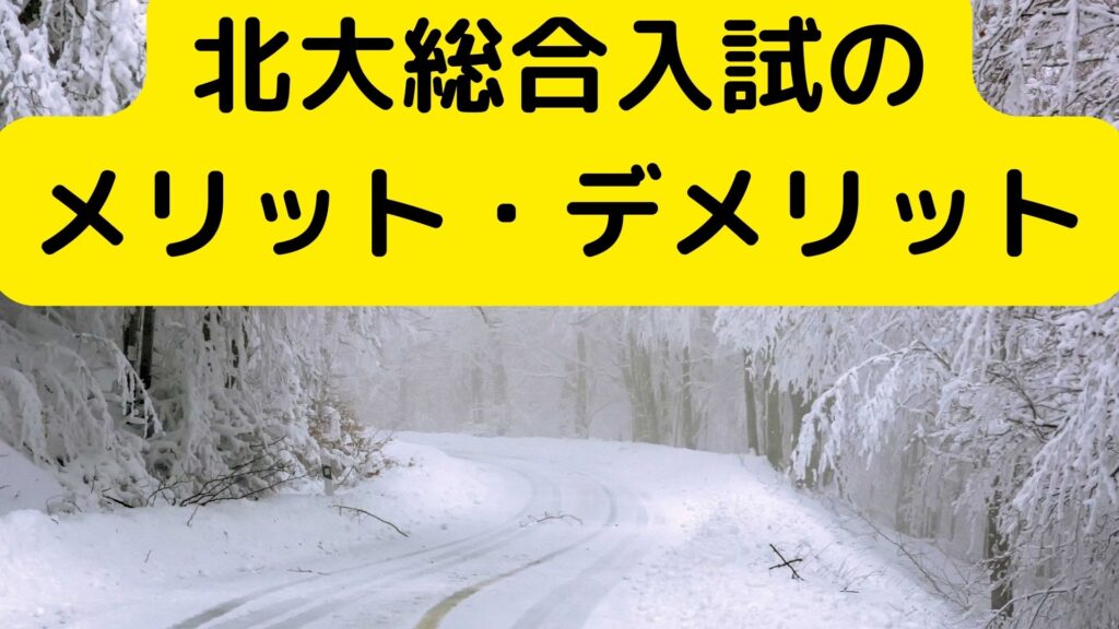 北大総合入試のメリット・デメリット